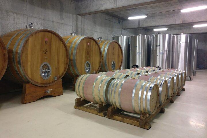 Excursion d'une journée au départ de Bratislava : visite d'une cave avec dégustation de vins à la campagne