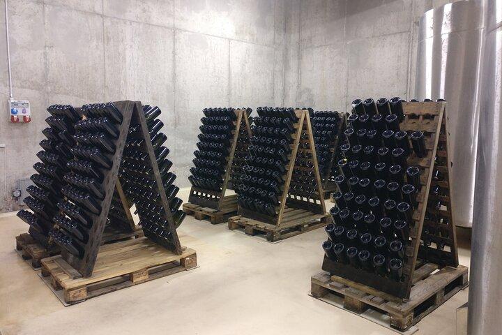 Excursion d'une journée au départ de Bratislava : visite d'une cave avec dégustation de vins à la campagne