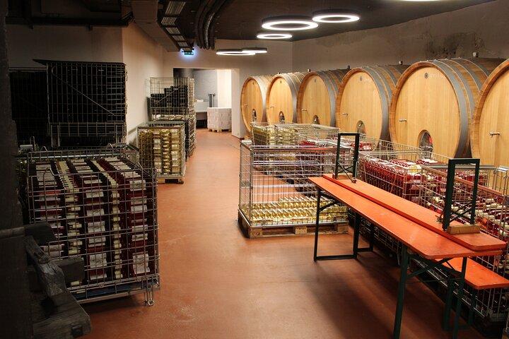 Excursion d'une journée au départ de Bratislava : visite d'une cave avec dégustation de vins à la campagne
