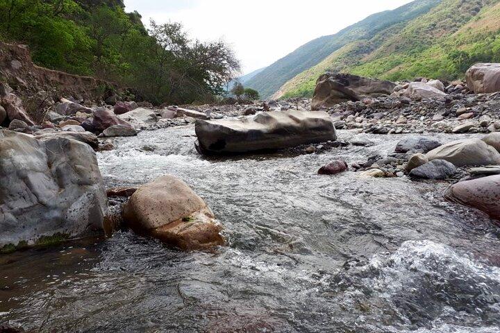 Caminhada na Floresta da Nuvem