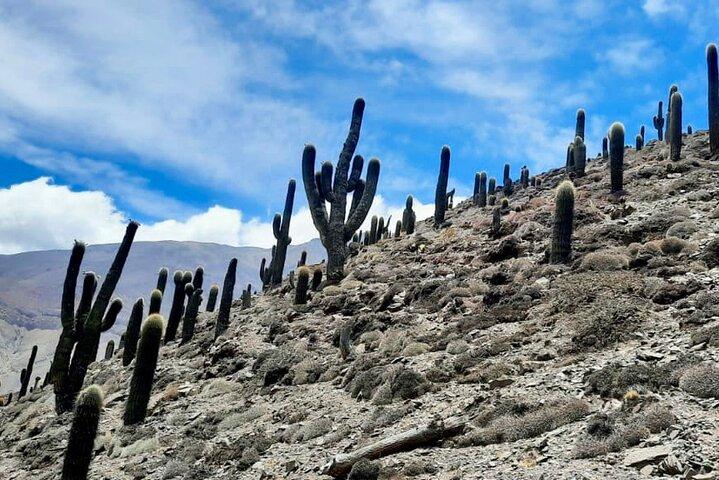 Dia longo Caminhada às ruínas incas