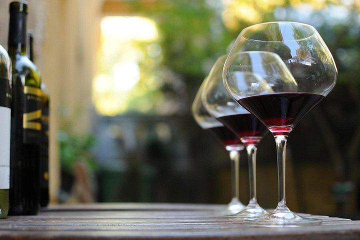 Essen- und Weintour durch Bratislava