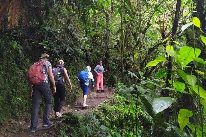 From Quito: Mindo Cloud Forest Day Trip with Waterfall Hike