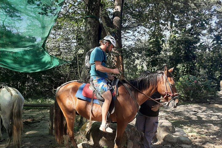ビーチでの乗馬