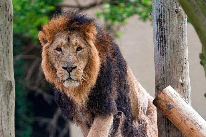 アルカトラズ島内部: 思い通りの湾