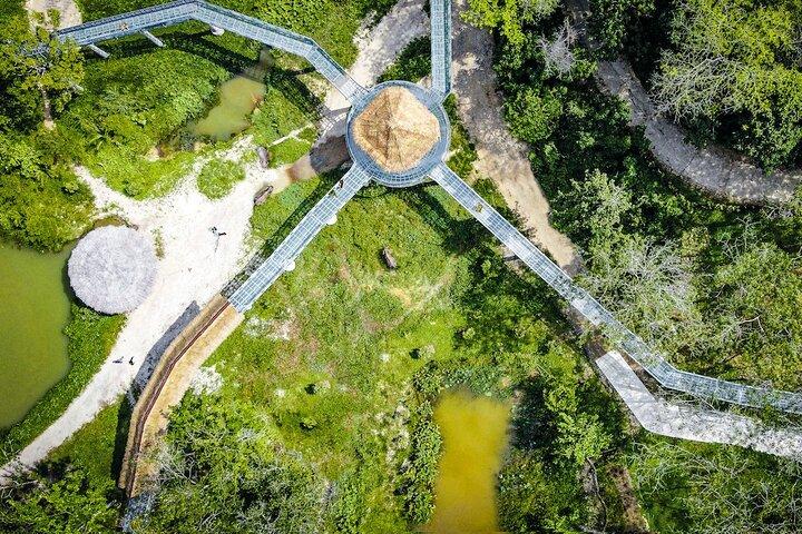 Phuket Elephant Sanctuary Canopy Walkway Tour