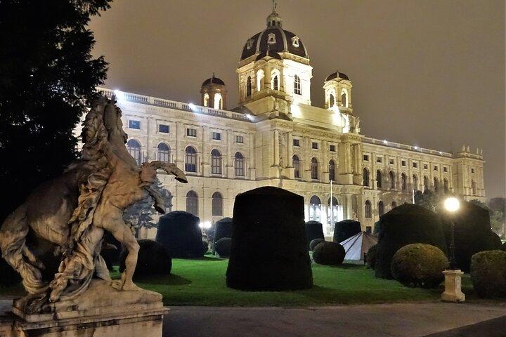 Private Vienna Evening Walk — Orientation for Your First Night