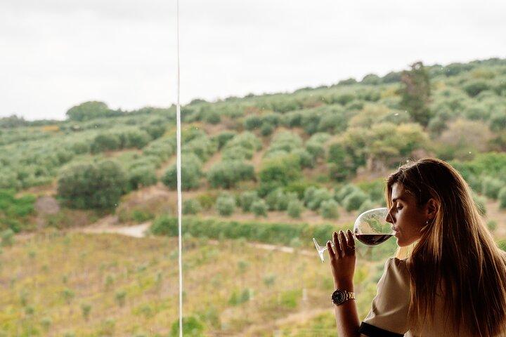 Heraklion Private halbtägige Gastronomietagebücher im Weingut Lyrarakis