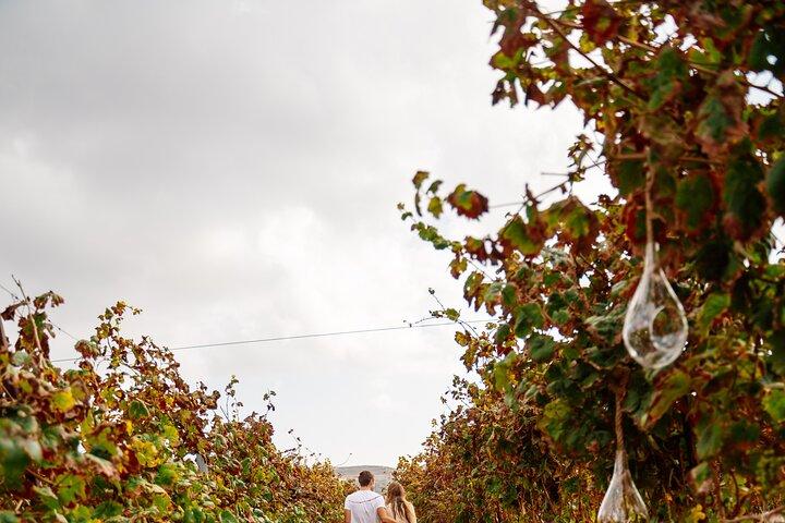 Heraklion Private halbtägige Gastronomietagebücher im Weingut Lyrarakis