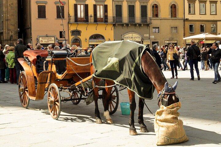 Private Florence Tour: 3-Hour Walking Tour with a Licenced Guide