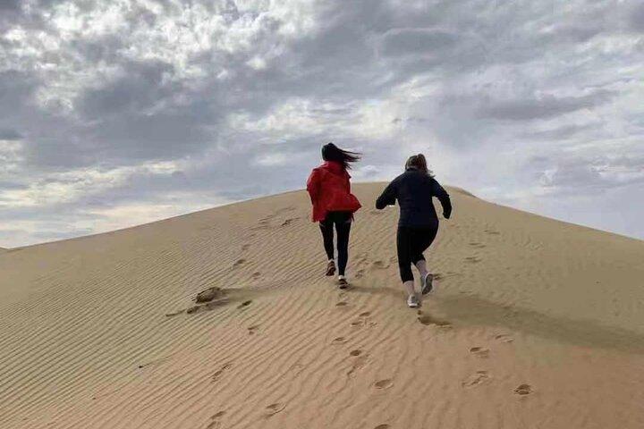 Tour privado de un día al desierto de Kubuqi desde Hohhot con recogida