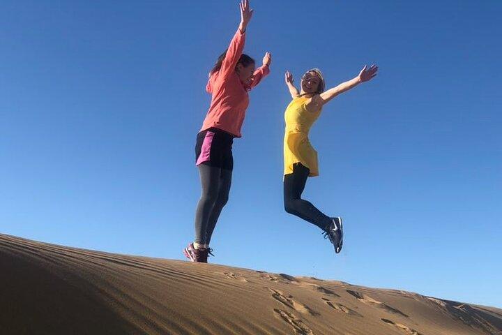 Tour privado de un día al desierto de Kubuqi desde Hohhot con recogida