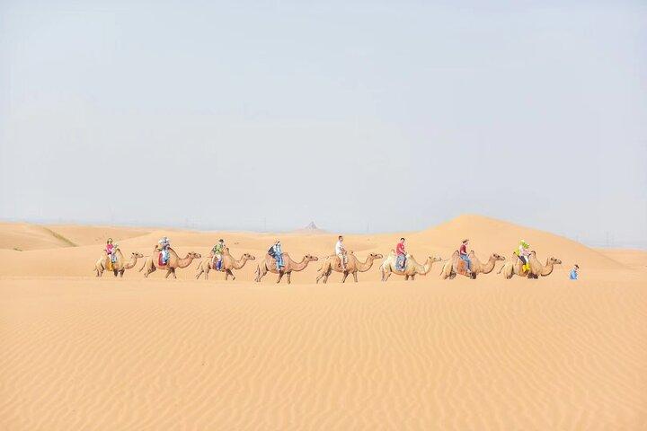 Tour privado de un día al desierto de Kubuqi desde Hohhot con recogida