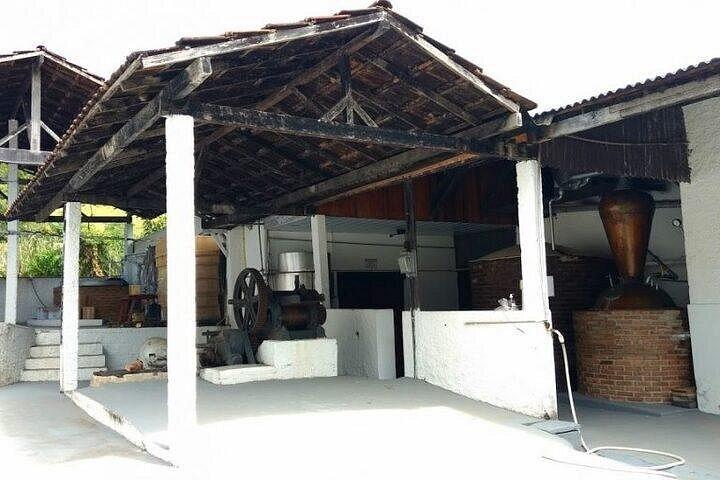 プライベート 1 日ハイキング ツアー テレグラフ ストーンとビーチ - 交通費込み