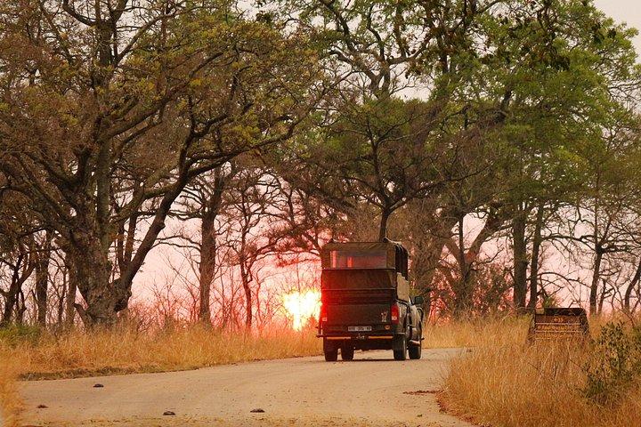 Kruger National Park Heldags privat safari