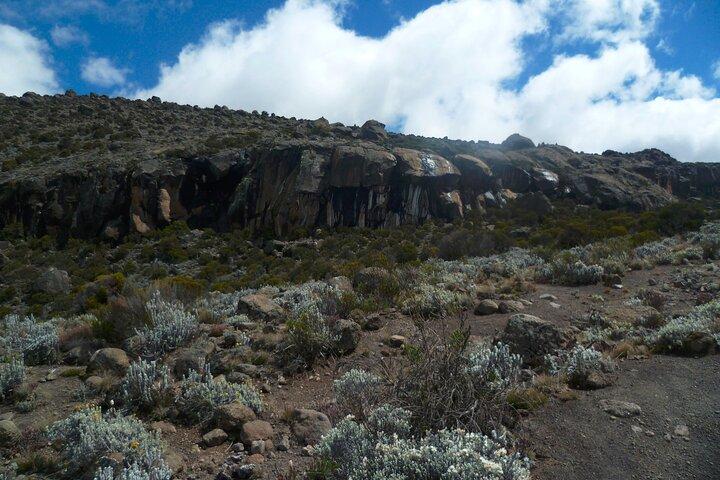 6-daagse Kilimanjaro Marangu-klim