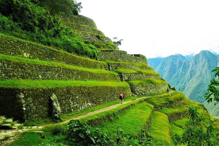 Inca Trail vandretur 4 dage til Machu Picchu med panoramatog