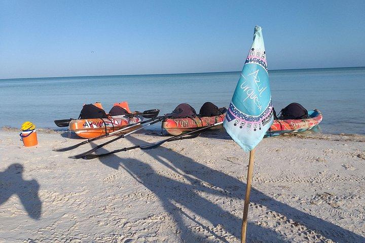Kajaktur i Holbox mangroveskove