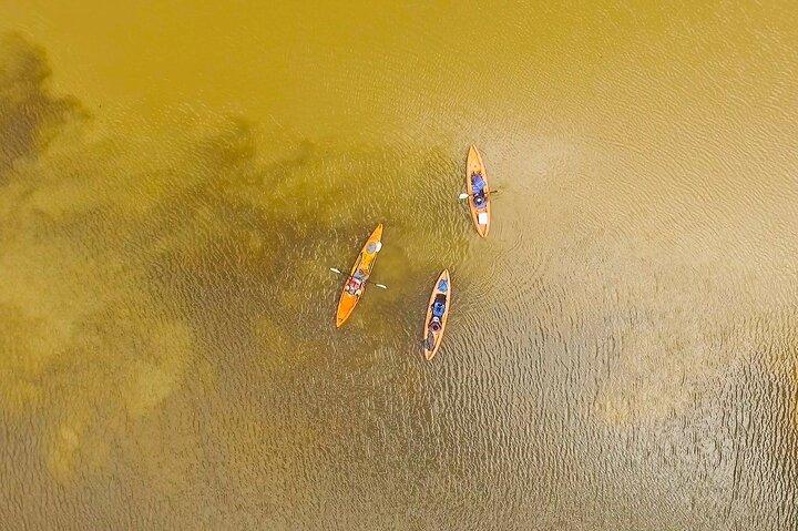 Total Tortuguero Canoa o Kayak+caminata+NW(Tortugas de jul-oct)