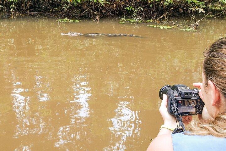 Total Tortuguero Canoa o Kayak+caminata+NW(Tortugas de jul-oct)
