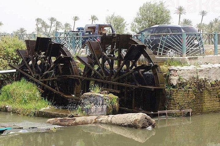 カイロからアル ファイユーム オアシスとワディ アル ラヤンへのプライベート デイ ツアー