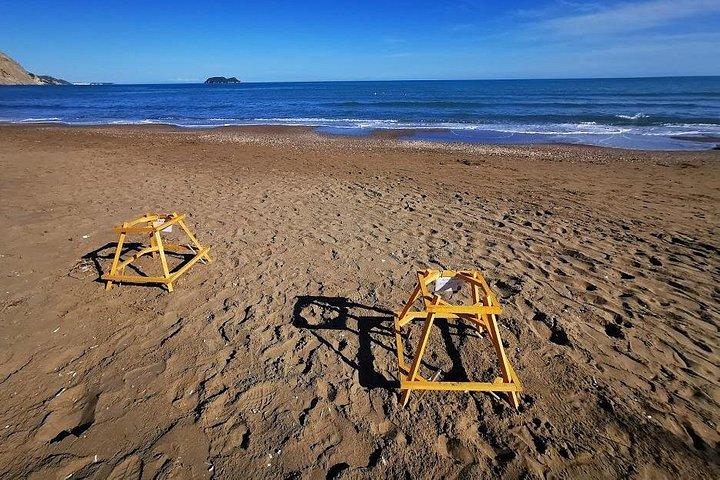 ザキントス島:マラソニシ、カメオ島、ケリ洞窟ツアー