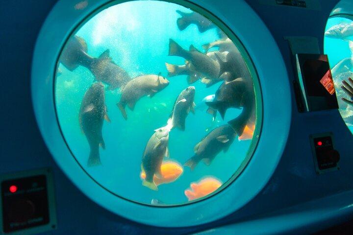 アバロン発、カタリナ島を巡る黄色い半潜水艦ツアー