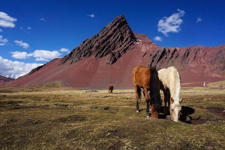 Heldagsvandring til Rainbow Mountain - med guide