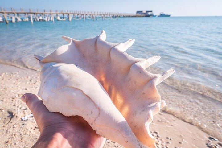 ハルガダから：ランチ付きのオレンジベイシュノーケリング旅行