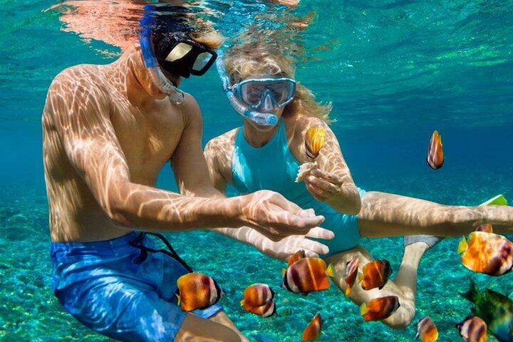 ハルガダから：ランチ付きのオレンジベイシュノーケリング旅行