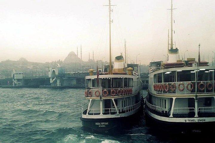 Afternoon Bosphorus Cruise Along the Shore