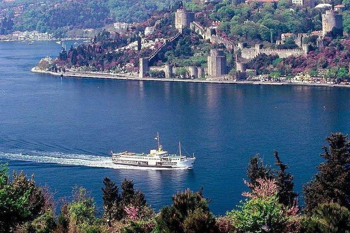 Afternoon Bosphorus Cruise Along the Shore
