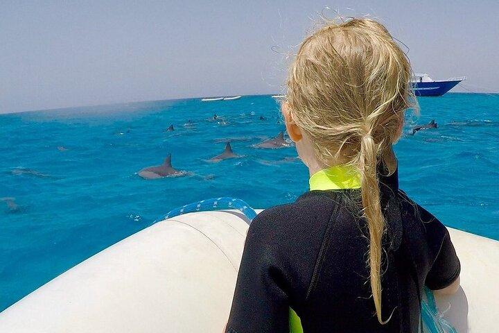サタヤ ドルフィン ハウス シュノーケル旅行 - マルサ アラム