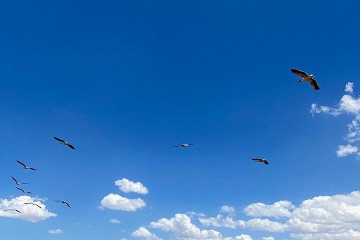 ナイバシャ湖でのオプションのボートライド付きナクル湖公園への日帰りツアー