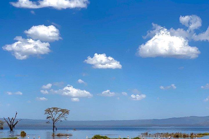ナイバシャ湖でのオプションのボートライド付きナクル湖公園への日帰りツアー