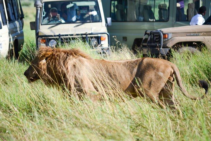 4 dage Tarangire, Serengeti & Ngorongoro kratergruppe Tour
