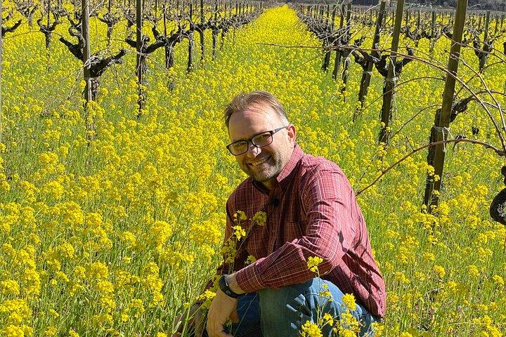 Wine Tour Pros - Charters e eventos corporativos