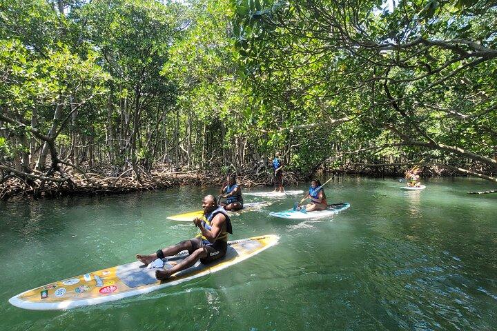 Expérience de stand up paddle dans la nature à Miami