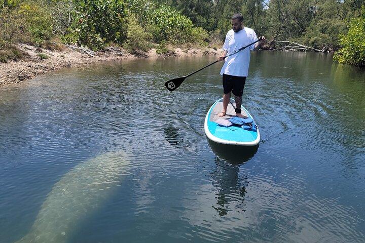 Natur Stand Up Paddle Boarding Erfahrung in Miami
