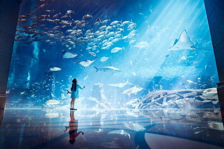 Skip the Line: Lost World Aquarium at Atlantis The Palm Ticket