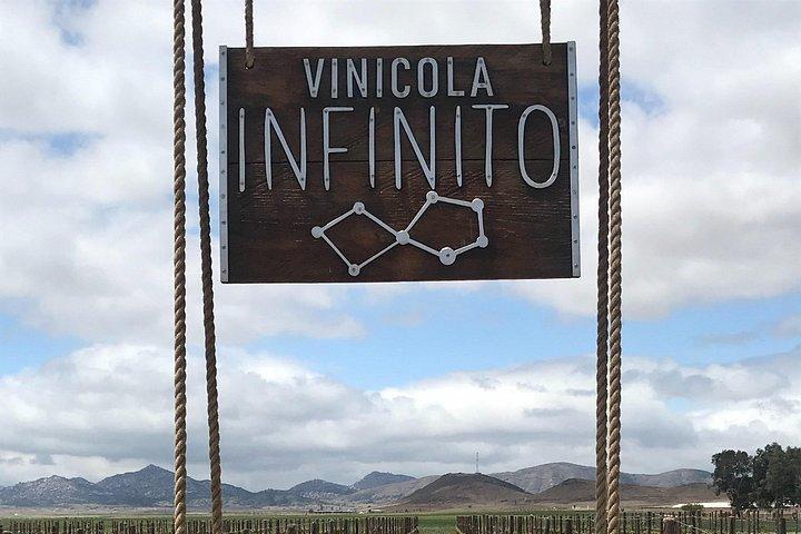 バジャーカリフォルニアのオホスネグロスバレーワインとチーズルートツアー