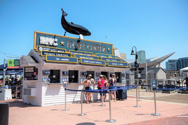 City Cruises Boston Whale Watching Cruise med højhastighedsbåd