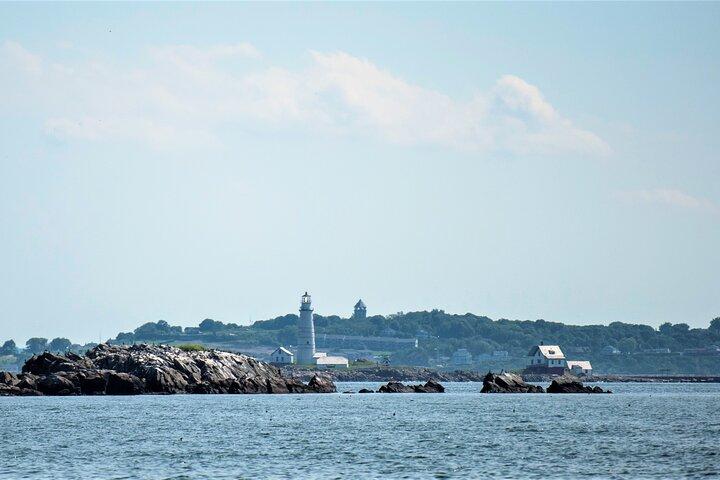 City Cruises Boston Whale Watching Cruise med højhastighedsbåd
