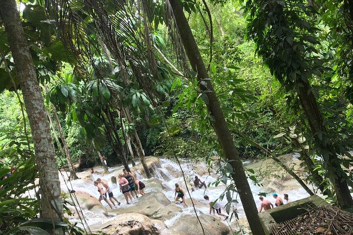 Negril til Dunn's River Small Group Tour
