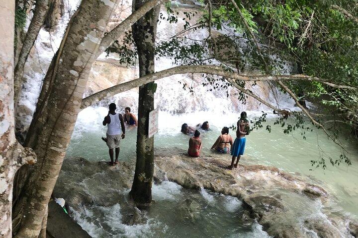 Negril til Dunn's River Small Group Tour