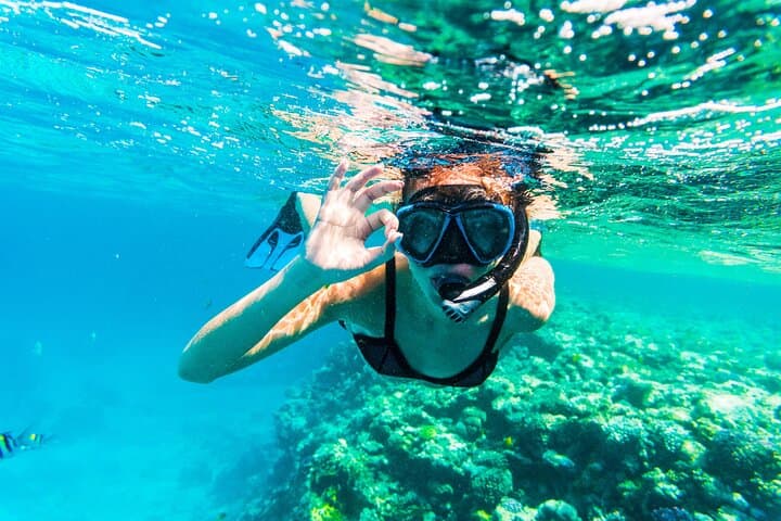 From Dubai: Snorkeling trip in Fujairah