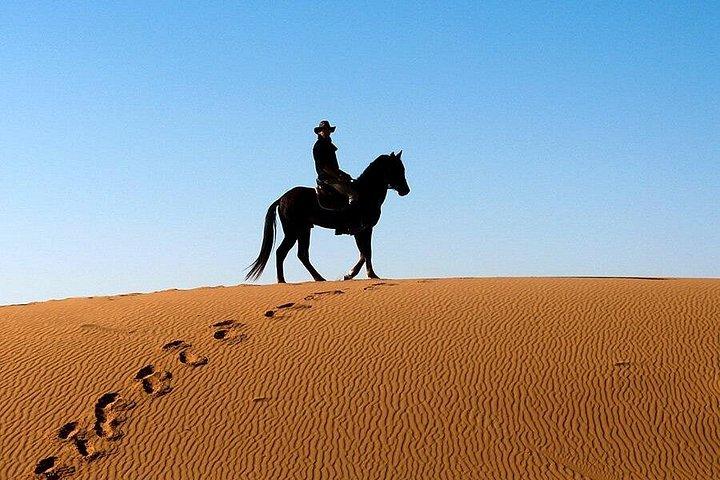 西岸でラクダまたは馬に乗る