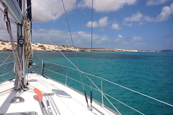 3-Hour Private Sailing Tour around the Lobos Island