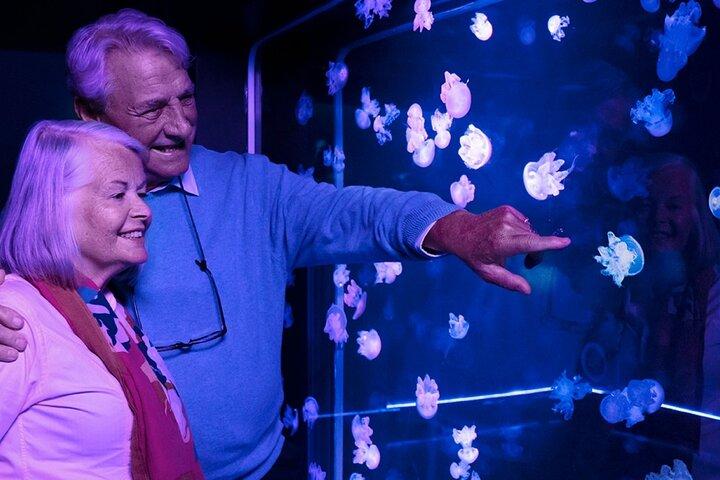 SEA LIFE アメリカンドリームでのニュージャージー入場券