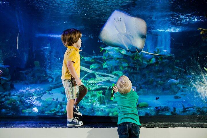 SEA LIFE アメリカンドリームでのニュージャージー入場券